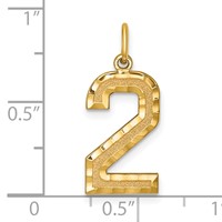 14K Yellow Gold Large Brushed Diamond-cut Number 2 Charm view 4