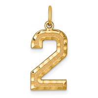 14K Yellow Gold Large Brushed Diamond-cut Number 2 Charm view 1