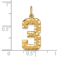 14K Yellow Gold Large Brushed Diamond-cut Number 3 Charm view 4