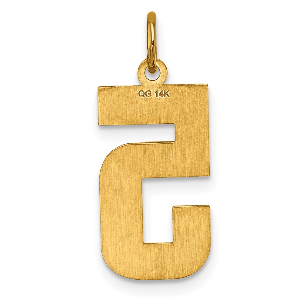14k Large Brushed Diamond-cut Number 5 Charm (LN05)