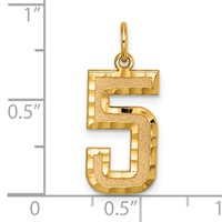 14K Yellow Gold Large Brushed Diamond-cut Number 5 Charm view 4