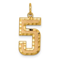 14K Yellow Gold Large Brushed Diamond-cut Number 5 Charm view 1