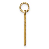 14K Yellow Gold Large Brushed Diamond-cut Number 6 Charm view 2