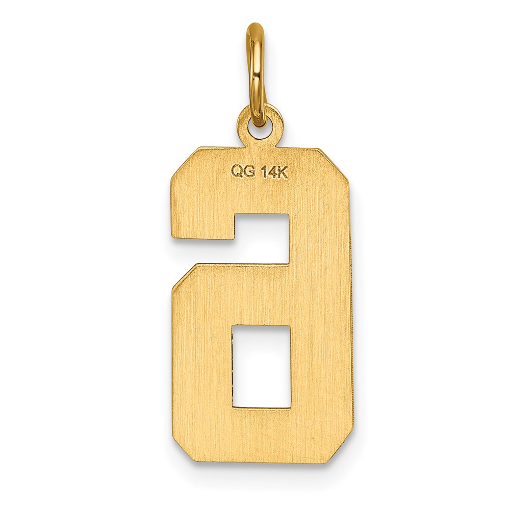14k Large Brushed Diamond-cut  Number 6 Charm (LN06)