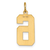 14K Yellow Gold Large Brushed Diamond-cut Number 6 Charm view 3