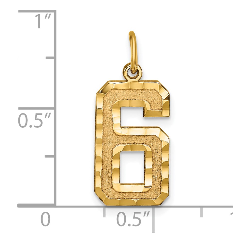 14k Large Brushed Diamond-cut  Number 6 Charm (LN06)