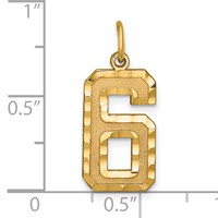 14K Yellow Gold Large Brushed Diamond-cut Number 6 Charm view 4