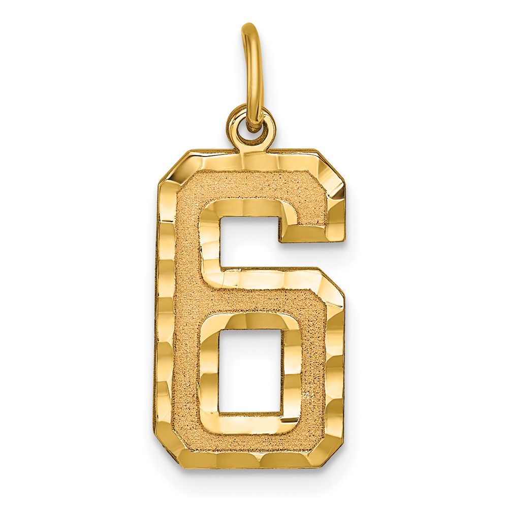14k Large Brushed Diamond-cut  Number 6 Charm (LN06)
