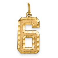 14K Yellow Gold Large Brushed Diamond-cut Number 6 Charm view 1