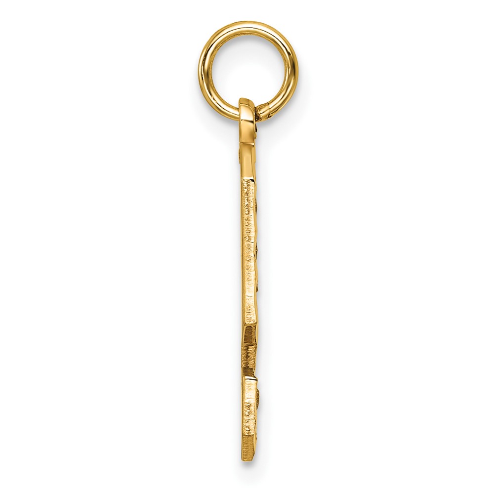 14k Large Brushed Diamond-cut  Number 9 Charm (LN09)
