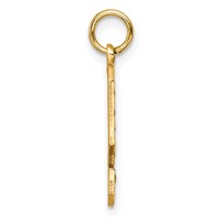 14K Yellow Gold Large Brushed Diamond-cut Number 9 Charm view 2