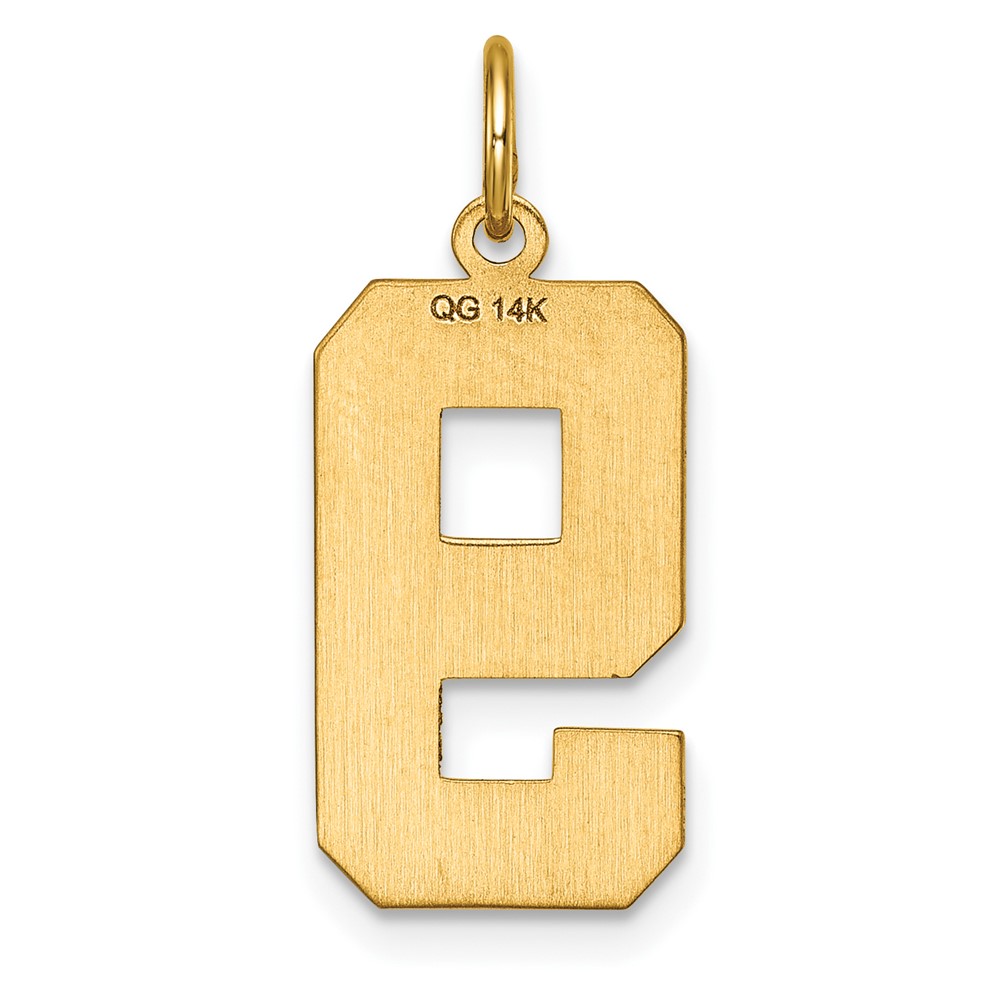 14k Large Brushed Diamond-cut  Number 9 Charm (LN09)
