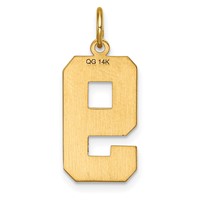 14K Yellow Gold Large Brushed Diamond-cut Number 9 Charm view 3