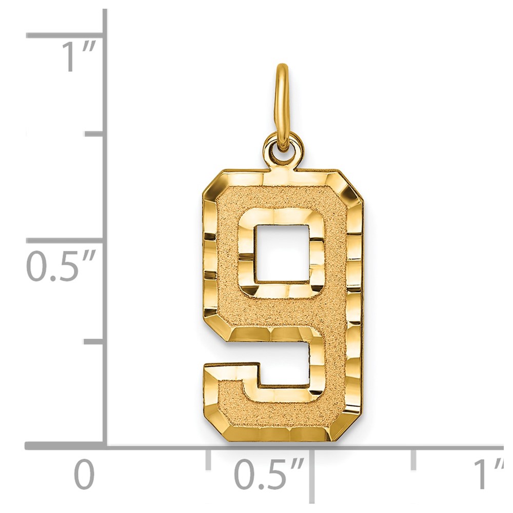 14k Large Brushed Diamond-cut  Number 9 Charm (LN09)