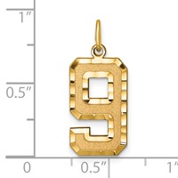 14K Yellow Gold Large Brushed Diamond-cut Number 9 Charm view 4