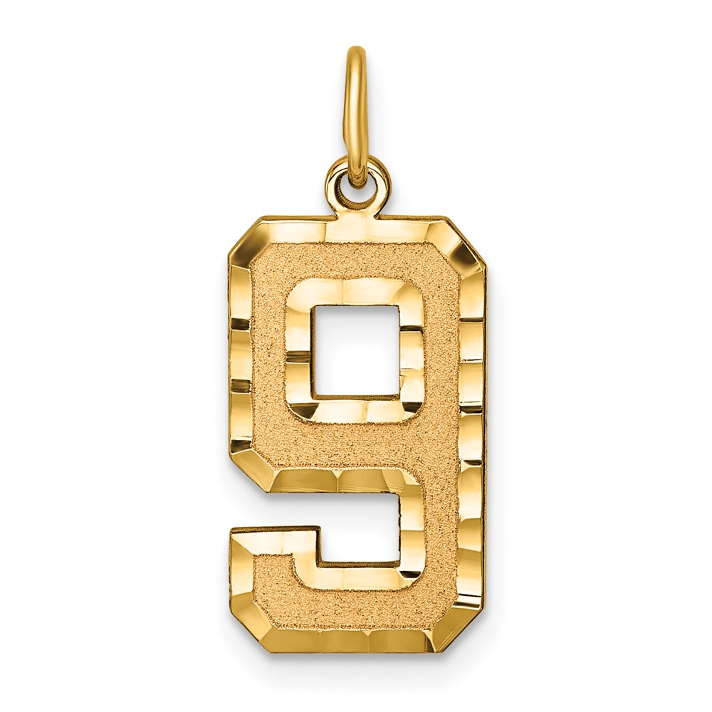 14k Large Brushed Diamond-cut  Number 9 Charm (LN09)