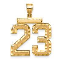 14K Yellow Gold Large Brushed Diamond-cut Number 23 Charm view 1