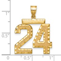 14K Yellow Gold Large Brushed Diamond-cut Number 24 Charm view 4
