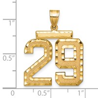 14K Large Brushed Diamond-cut Number 29 Charm view 2