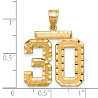 14K Yellow Gold Large Brushed Diamond-cut Number 30 Charm view 3