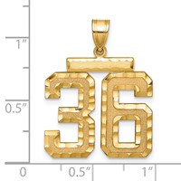 14K Yellow Gold Large Brushed Diamond-cut Number 36 Charm view 2