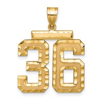 14K Yellow Gold Large Brushed Diamond-cut Number 36 Charm view 1