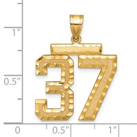 14K Yellow Gold Large Brushed Diamond-cut Number 37 Charm view 2