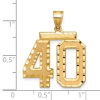 14K Large Brushed Diamond-cut Number 40 Charm view 2