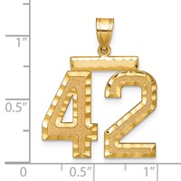 14K Yellow Gold Large Brushed Diamond-cut Number 42 Charm view 2
