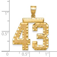 14K Yellow Gold Large Brushed Diamond-cut Number 43 Charm view 2