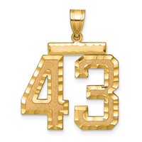 14K Yellow Gold Large Brushed Diamond-cut Number 43 Charm view 1
