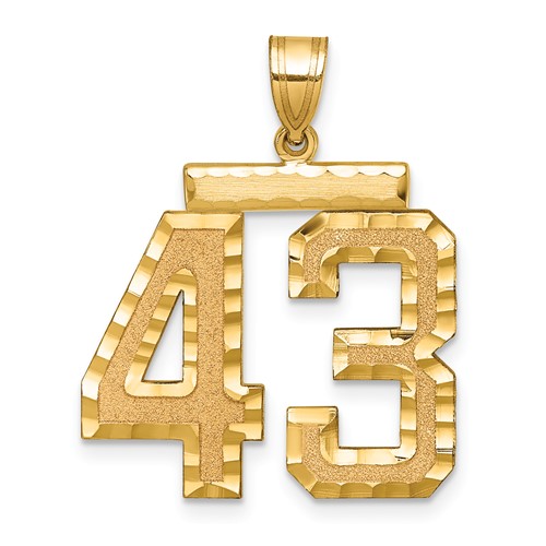 14K Yellow Gold Large Brushed Diamond-cut Number 43 Charm
