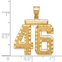 14K Large Brushed Diamond-cut Number 46 Charm view 2