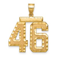 14K Large Brushed Diamond-cut Number 46 Charm view 1