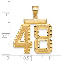 14K Yellow Gold Large Brushed Diamond-cut Number 48 Charm view 2