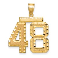 14K Yellow Gold Large Brushed Diamond-cut Number 48 Charm view 1