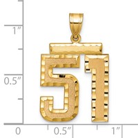 14K Yellow Gold Large Brushed Diamond-cut Number 51 Charm view 2