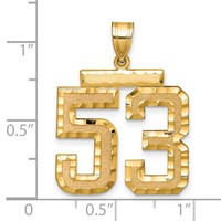 14K Yellow Gold Large Brushed Diamond-cut Number 53 Charm view 2