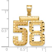 14K Yellow Gold Large Brushed Diamond-cut Number 58 Charm view 2