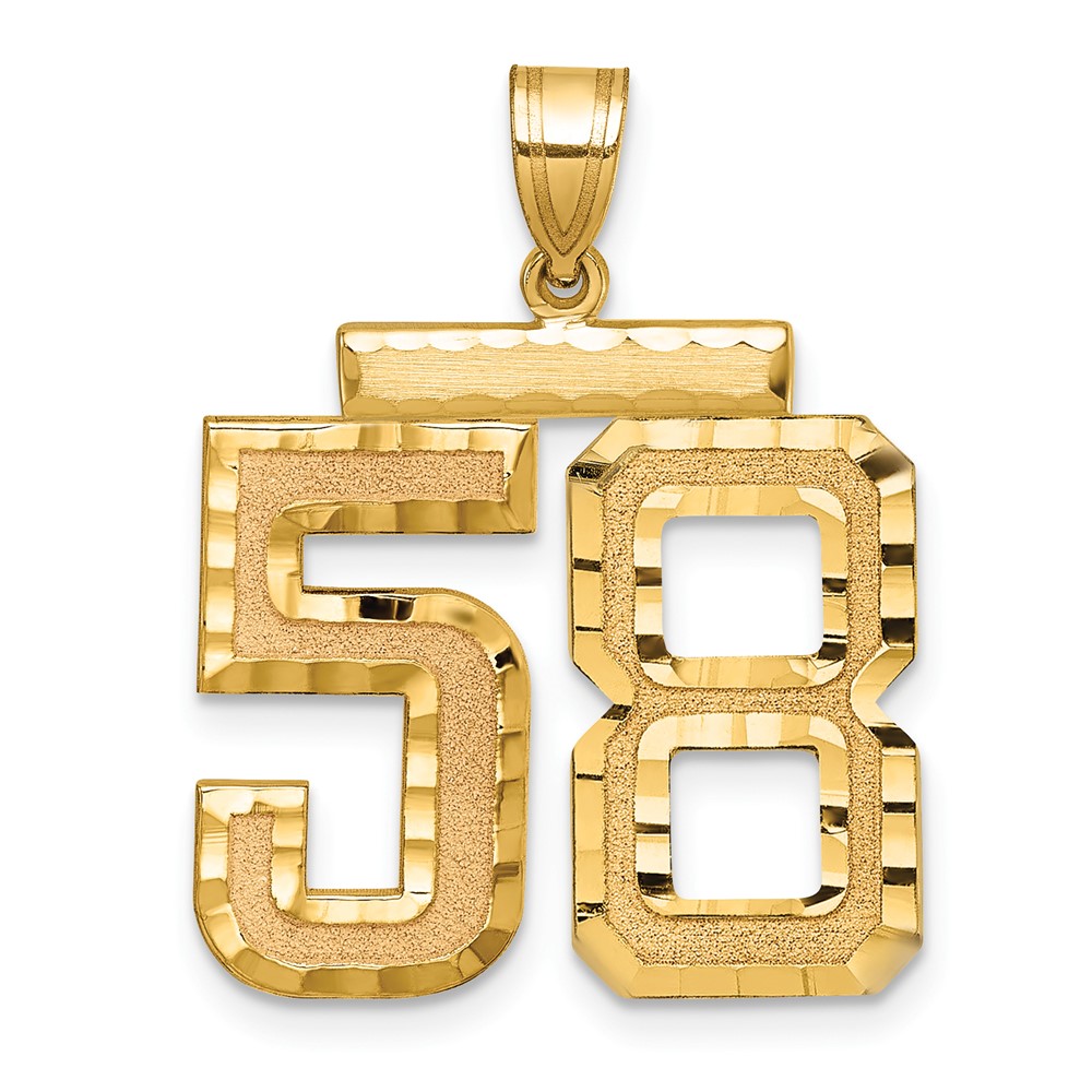 14K Yellow Gold Large Brushed Diamond-cut Number 58 Charm