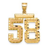 14K Yellow Gold Large Brushed Diamond-cut Number 58 Charm view 1
