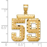 14K Yellow Gold Large Brushed Diamond-cut Number 59 Charm view 2
