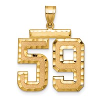 14K Yellow Gold Large Brushed Diamond-cut Number 59 Charm view 1