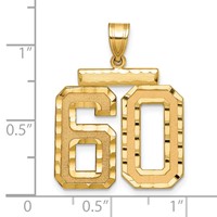 14K Large Brushed Diamond-cut Number 60 Charm view 2