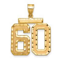 14K Large Brushed Diamond-cut Number 60 Charm view 1