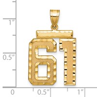 14K Yellow Gold Large Brushed Diamond-cut Number 61 Charm view 2