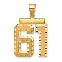 14K Yellow Gold Large Brushed Diamond-cut Number 61 Charm view 1