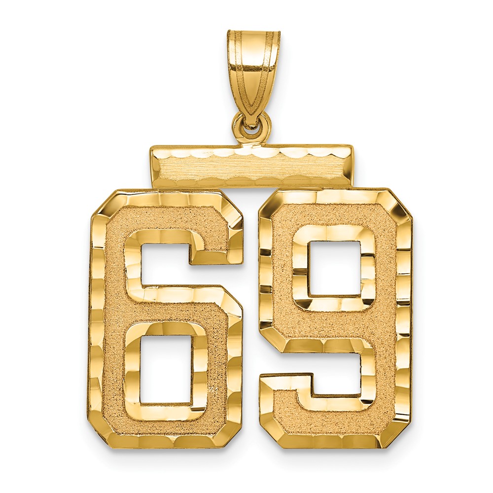 14K Yellow Gold Large Brushed Diamond-cut Number 69 Charm