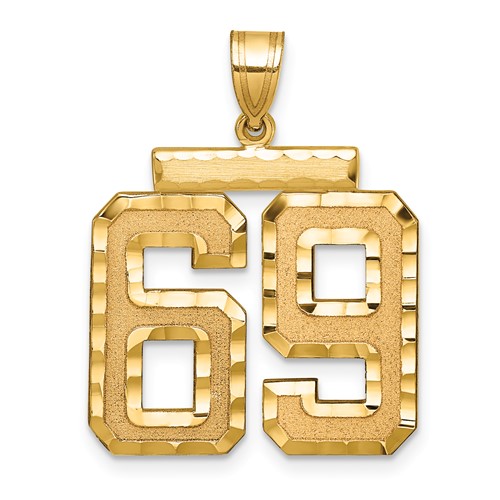 14K Yellow Gold Large Brushed Diamond-cut Number 69 Charm