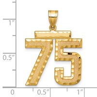 14K Yellow Gold Large Brushed Diamond-cut Number 75 Charm view 2